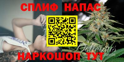 ECSTASY Лесосибирск