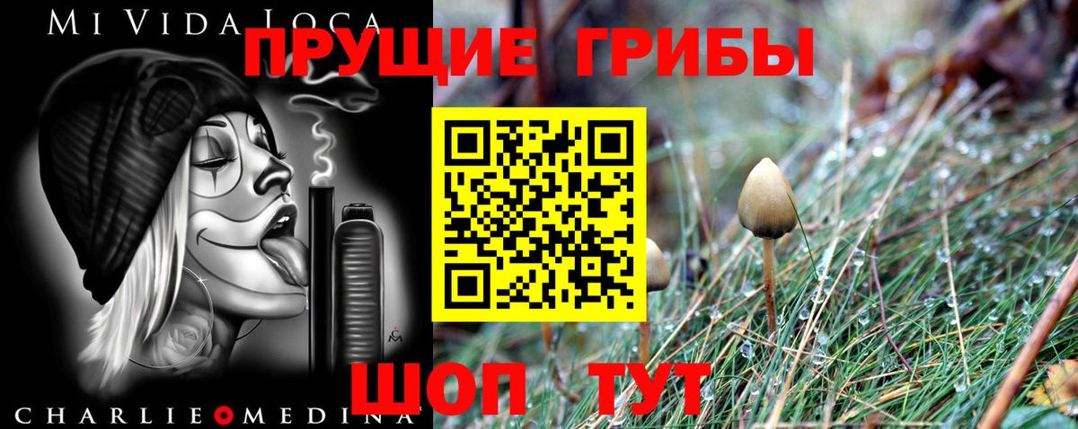 Зима  Псилоцибиновые грибы мухоморы  Вход с VPN 